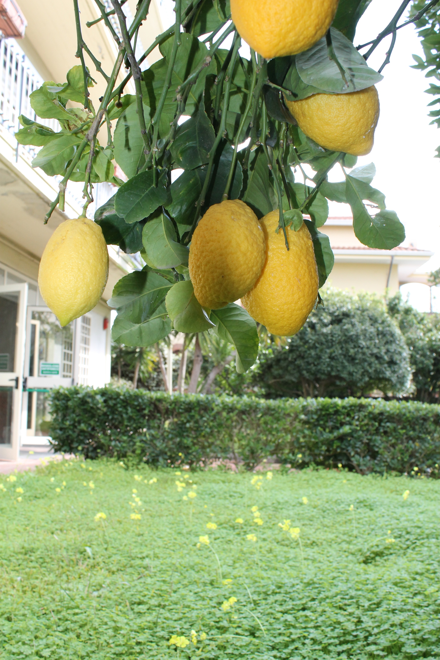 Casa Protetta Aura Radiosa